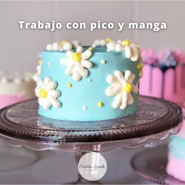 Clase grabada Decoración de tortas - Imagen 5